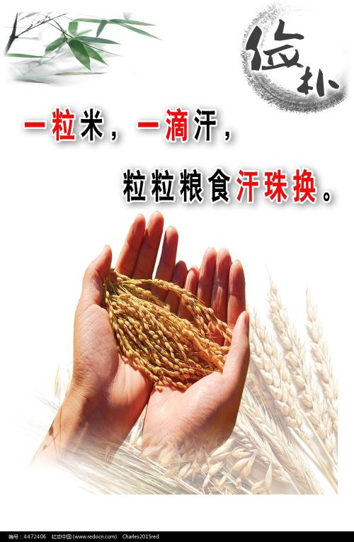 威尔伯福斯大学电子工程学位证书
